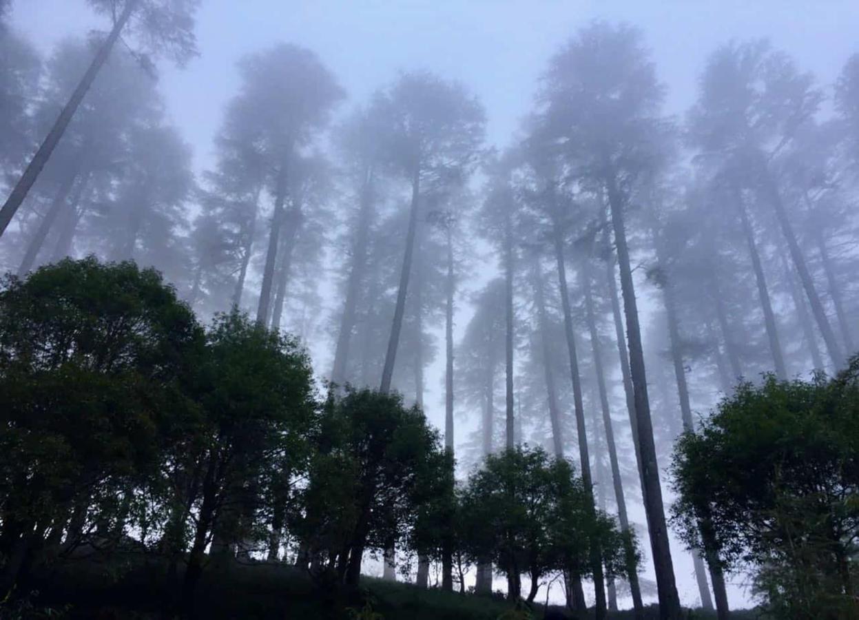Madhuban Sarovar Portico Mussoorie Esterno foto